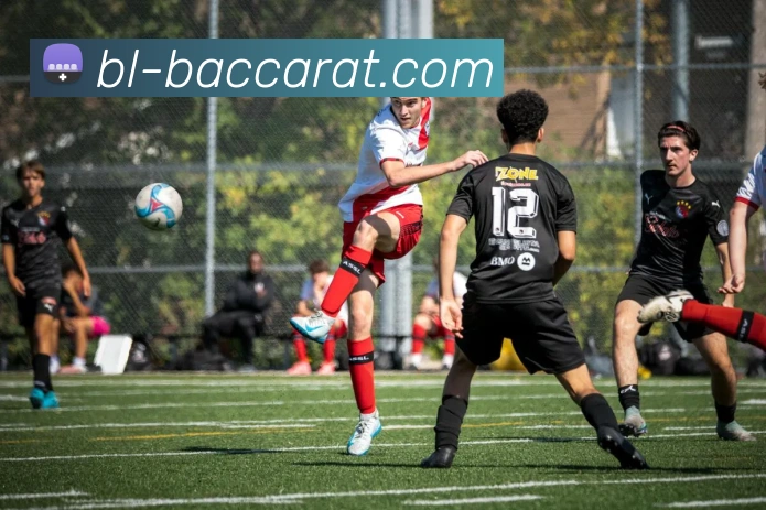 百家乐官网的公司重视社会责任，关注员工福利、环保、公益事业等方面。的社会责任实践展现了企业的良好品德和品质。百家乐平台百家乐集团官网品牌故事