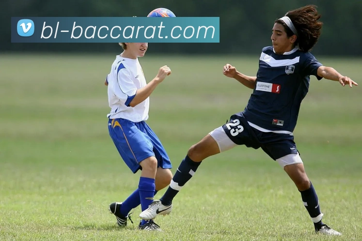 百家乐官网的公司重视社会责任，关注员工福利、环保、公益事业等方面。的社会责任实践展现了企业的良好品德和品质。百家乐平台百家乐集团官网服务体系